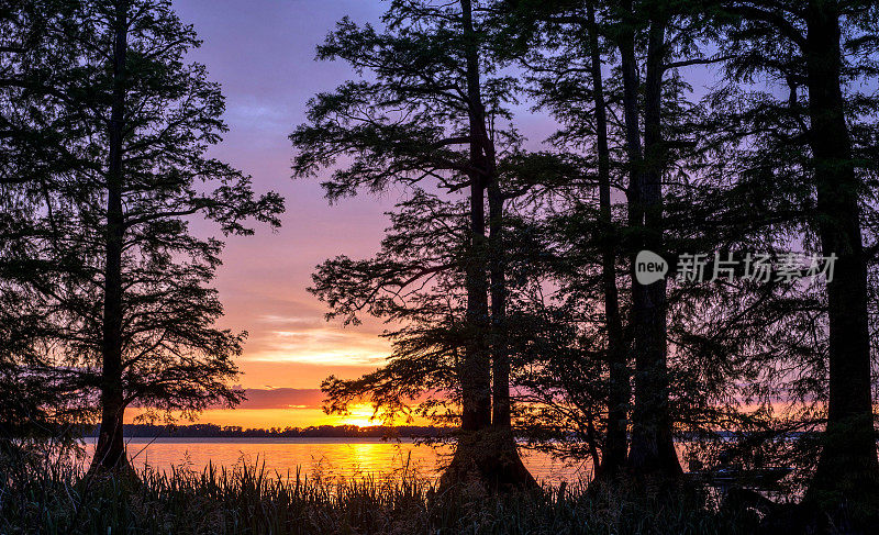 日落在Reelfoot湖在TN