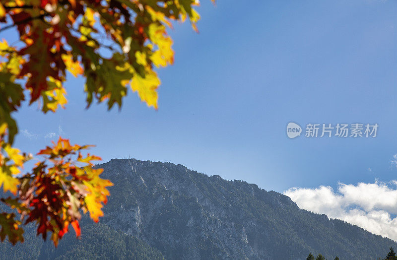 巴伐利亚阿尔卑斯山的高山和秋天的彩色树叶