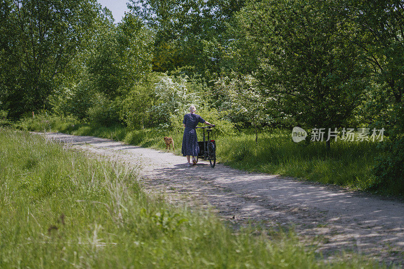 公园天堂:在一个阳光明媚的夏日午后，一名女子一边遛狗，一边推着一辆货运自行车