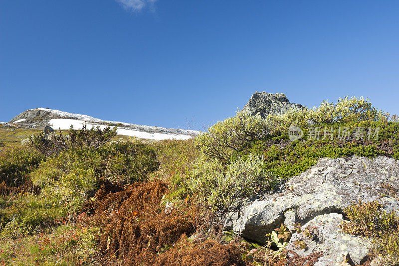 秋天的第一场雪给高山染上了色彩