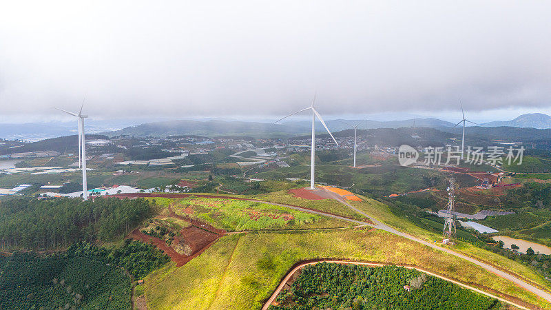 清晨美丽的风景，在大叻市，林东省。风吹茶山上，晨景山坡上茶树下