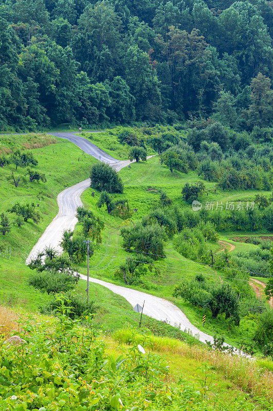 蓝岭公园大道