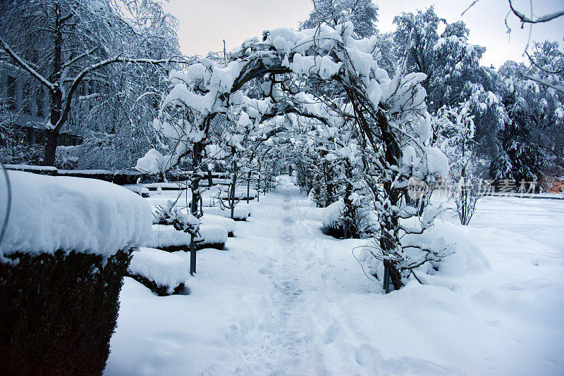 大雪过后的苏黎世