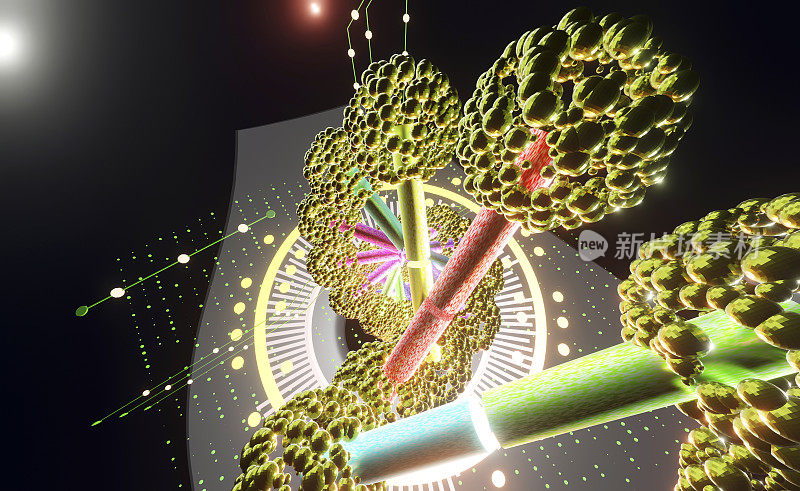 用一圈光检查试管中的DNA