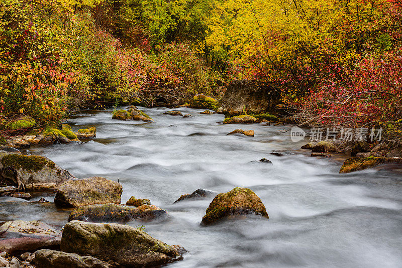 栅栏Creek-Autumn