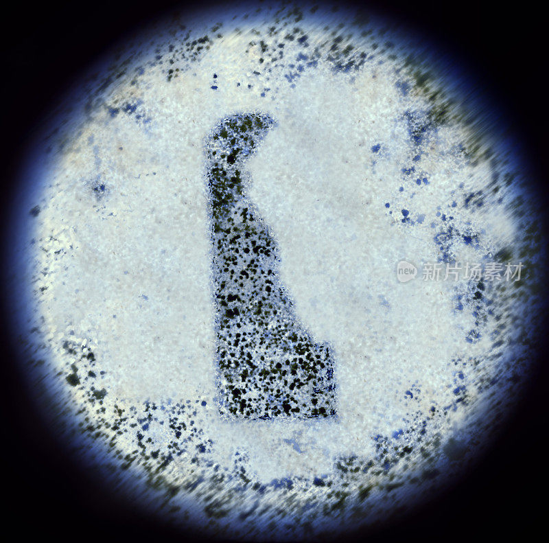 通过显微镜观察形成特拉华形的细菌。(系列)