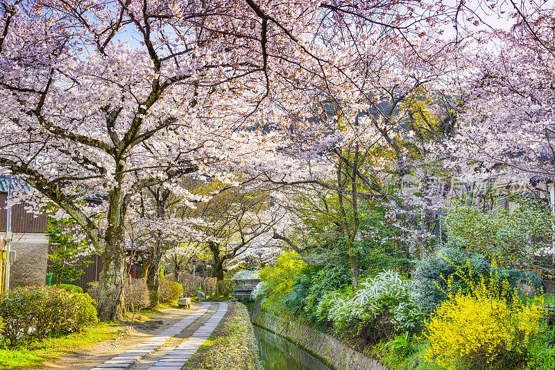 京都的哲学家之路