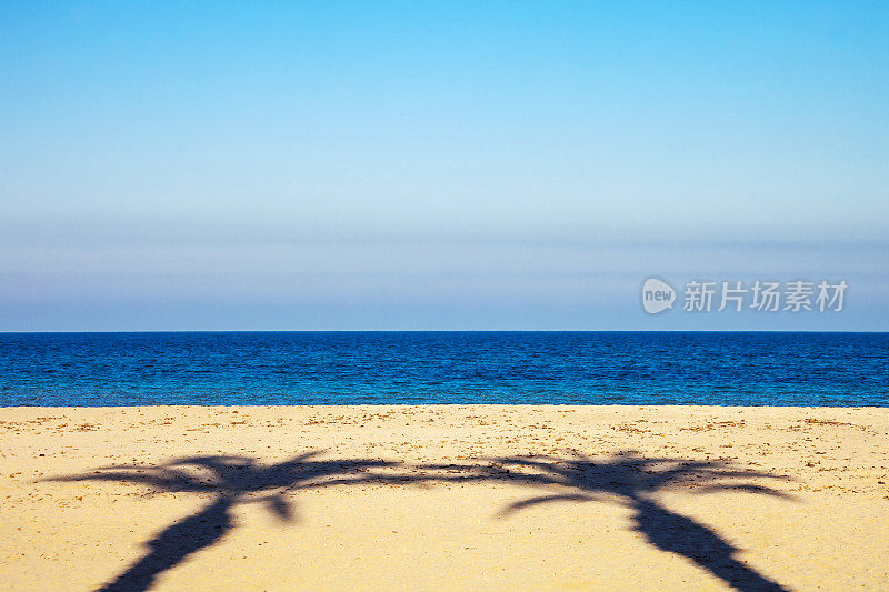 海滩上的棕榈树阴影。圣维托洛卡波，西西里。