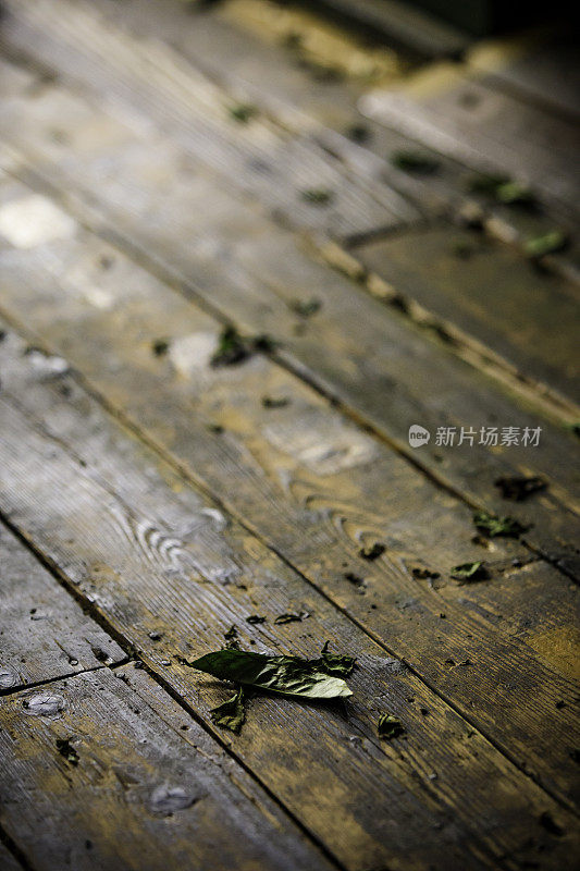 茶厂老木地板上的干茶叶