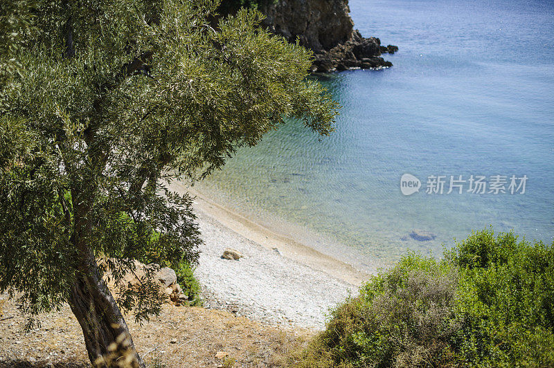 希腊的夏季景观