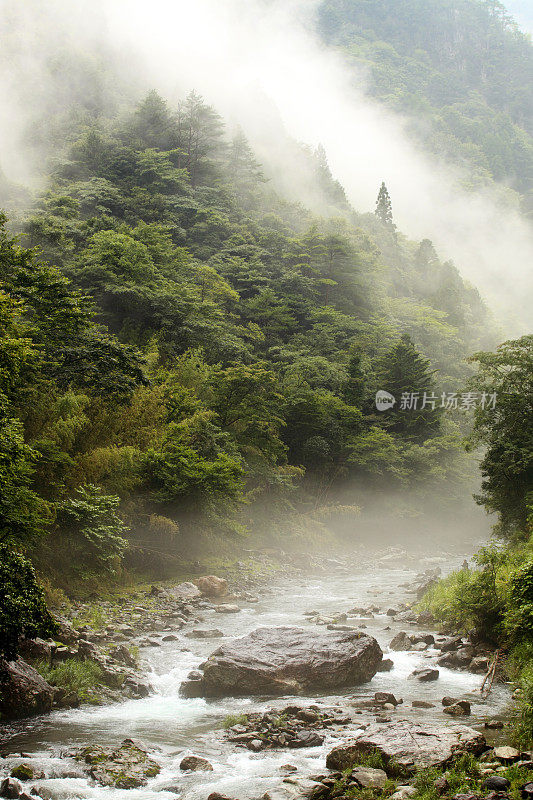 山景观