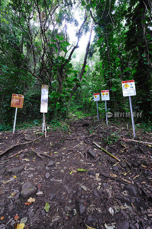 在夏威夷考艾岛的纳帕里海岸徒步旅行