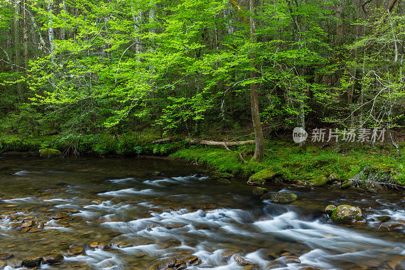 春天山上流