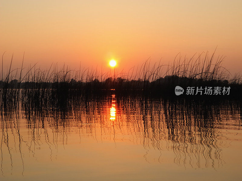 湖上的日落