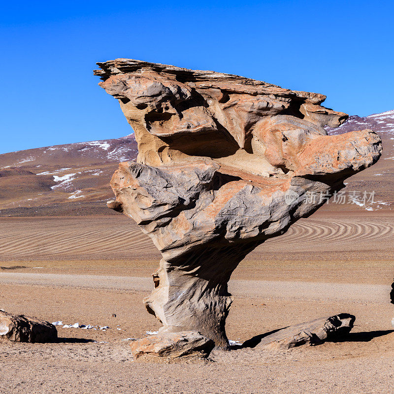 ?rbol de Piedra -石头树，在玻利维亚高原