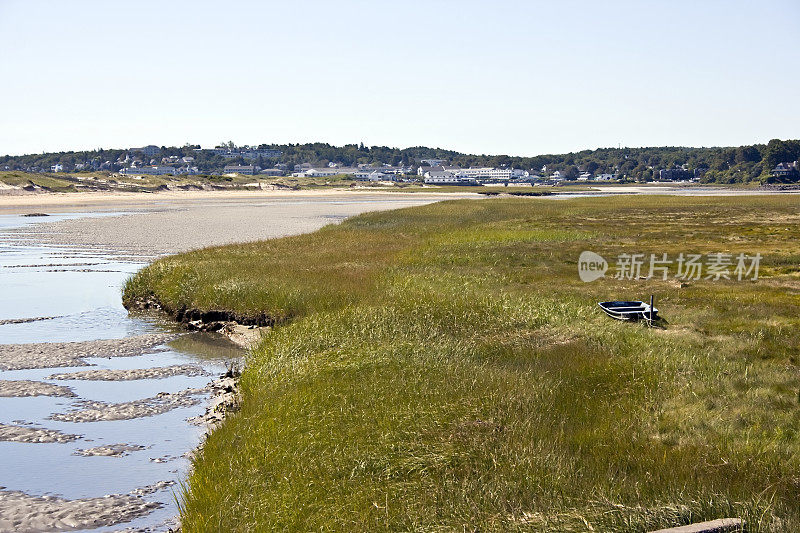 海洋沼泽地的低潮