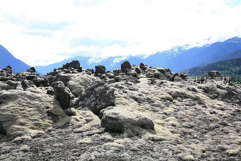 塞克斯熔岩流靠近纳斯河北部的台地，BC。
