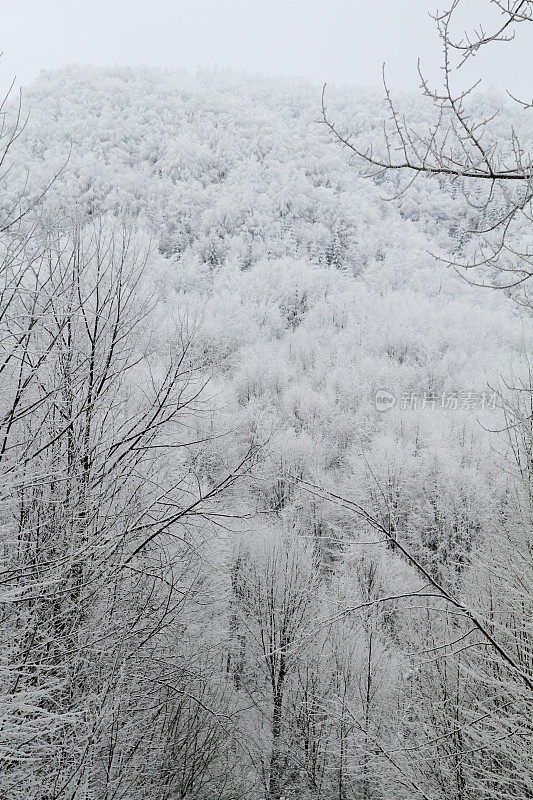 大雪