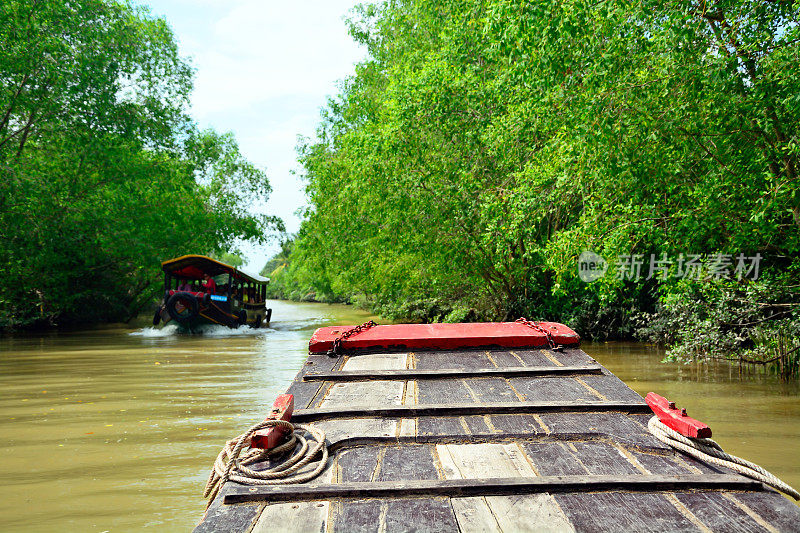 湄公河三角洲、越南