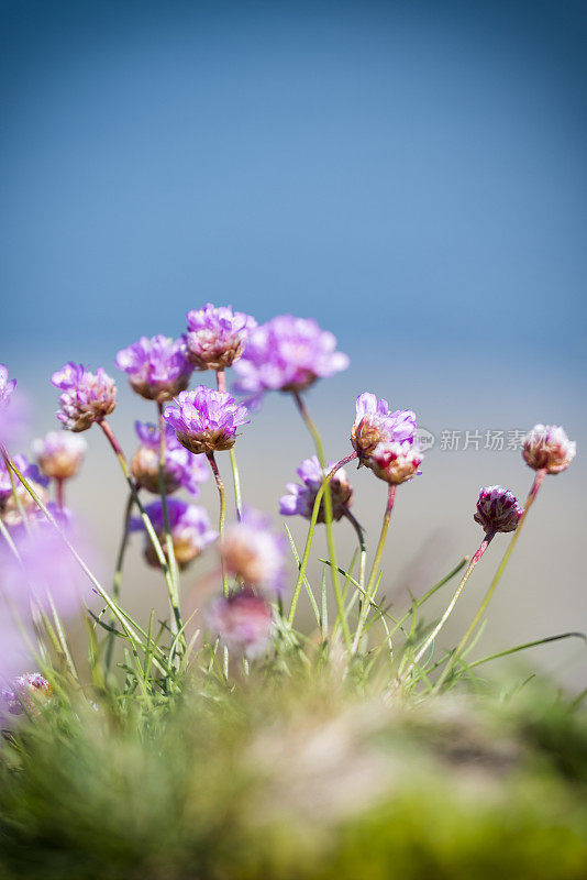 海节俭