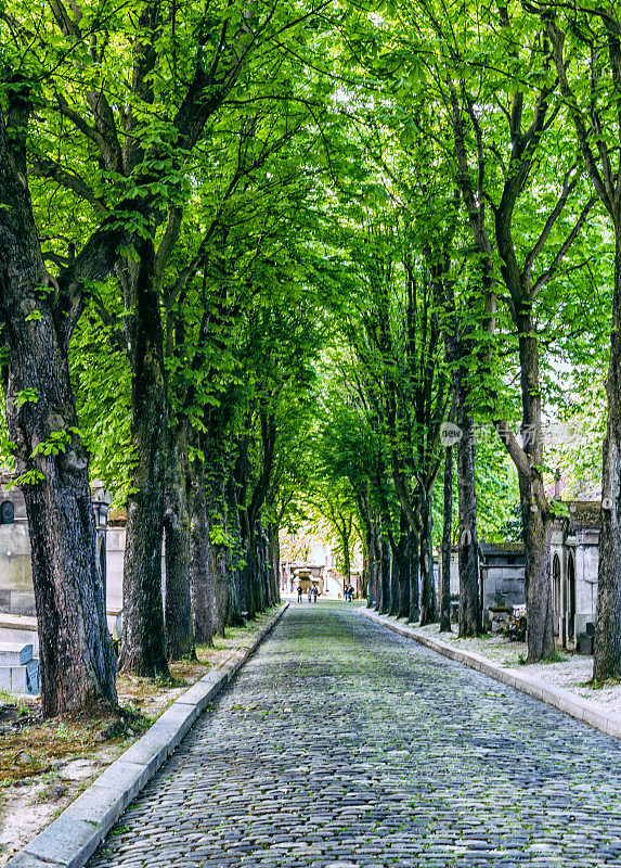 拉凯兹·Cemeter神父在法国巴黎