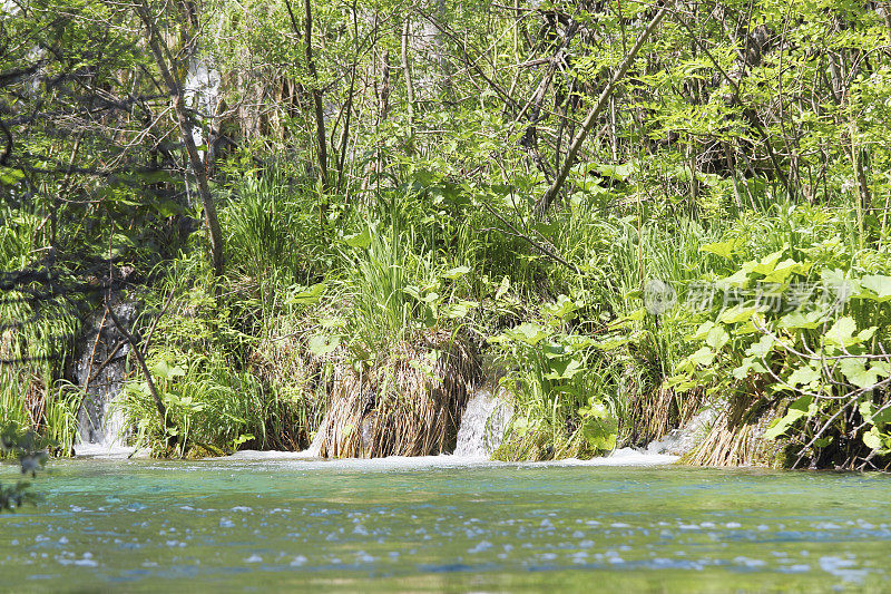 森林瀑布与水流进入克罗地亚的Plitvice湖