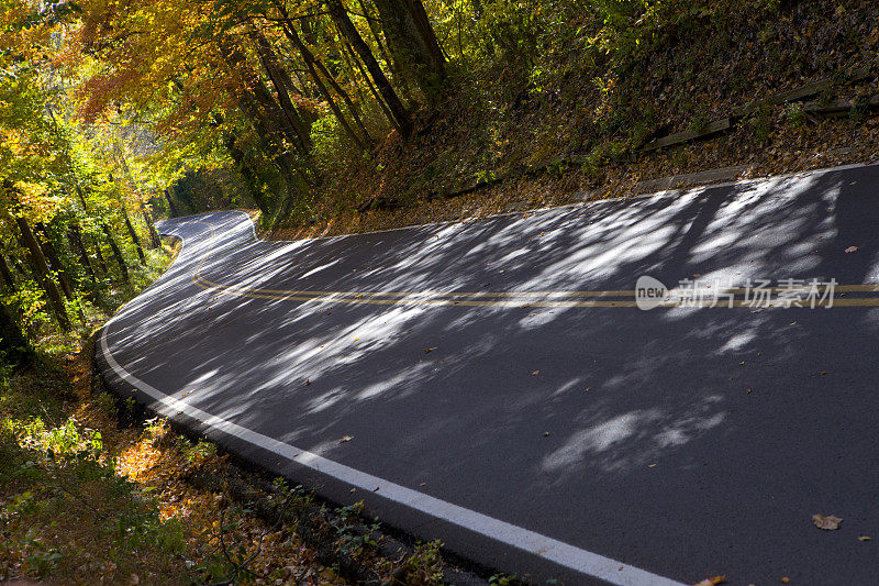 秋天蜿蜒的道路