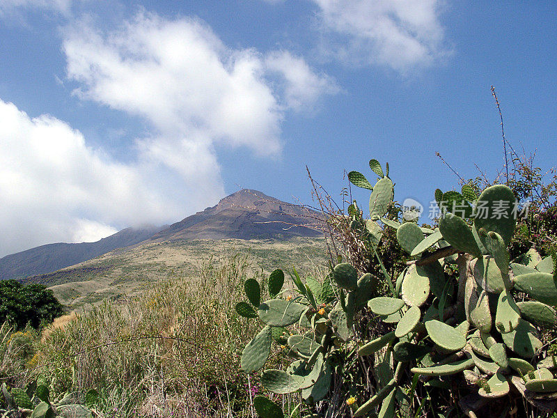 热气腾腾的斯特龙博利火山和仙人掌，意大利西西里岛