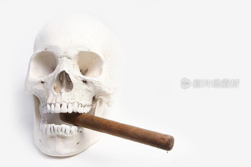 化石头骨和雪茄