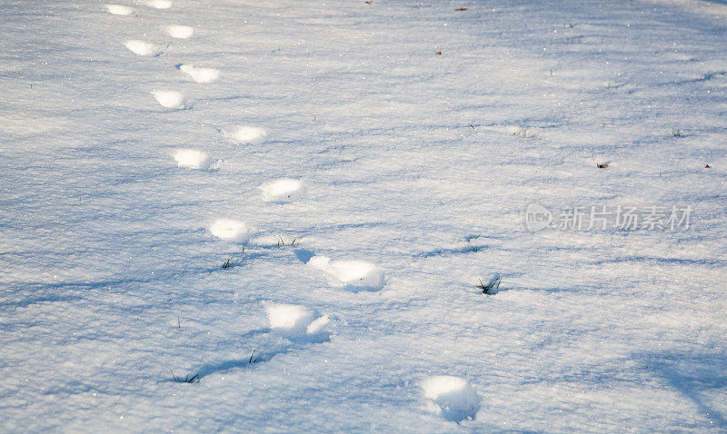 阳光和雪地里的脚印