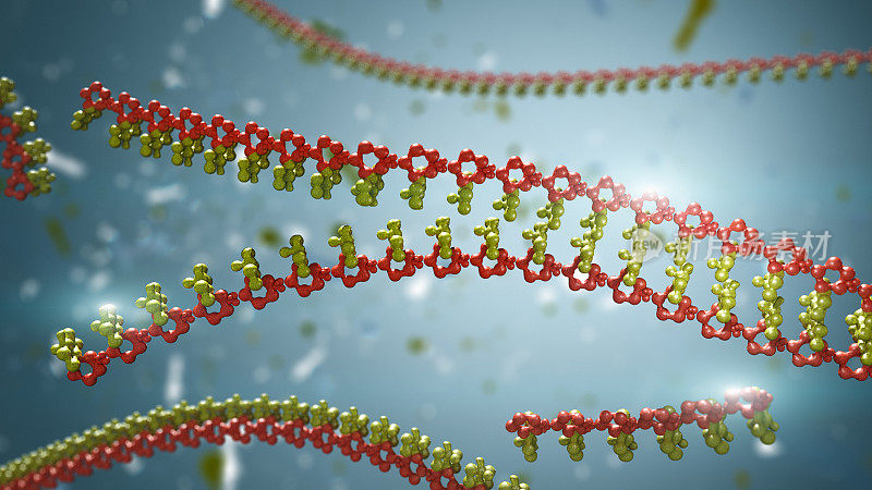 彩色DNA链螺旋分子结构