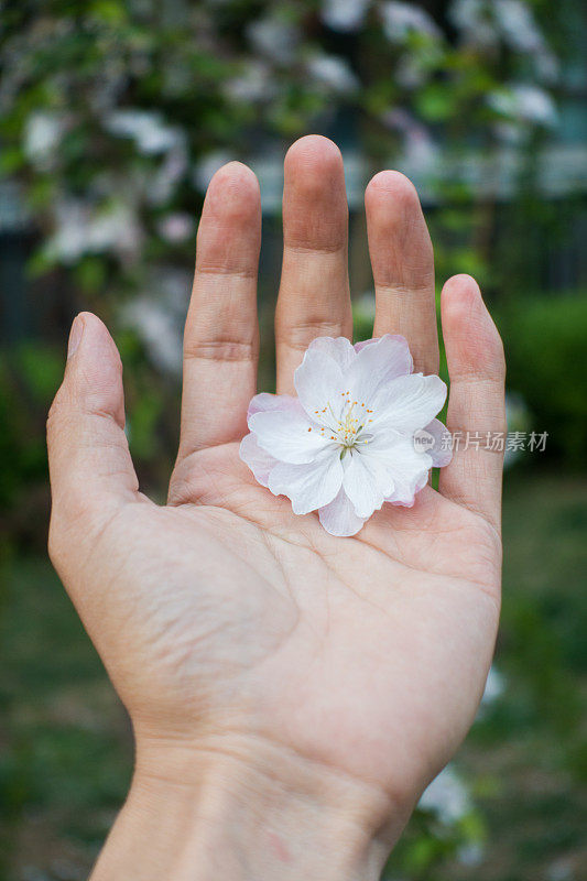 手持鲜花的女人