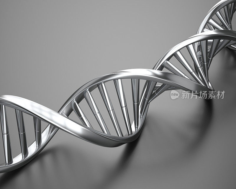 银DNA结构