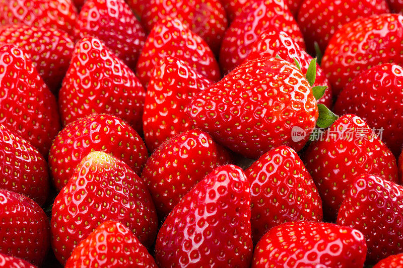 新鲜草莓的背景