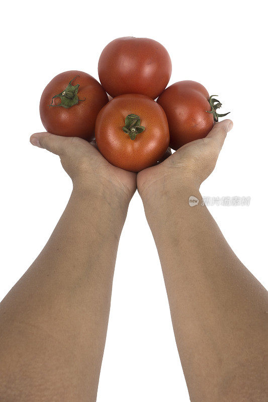 番茄在手中
