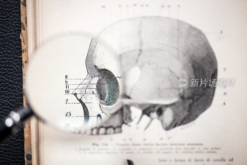放大镜上的古董解剖学书:头骨