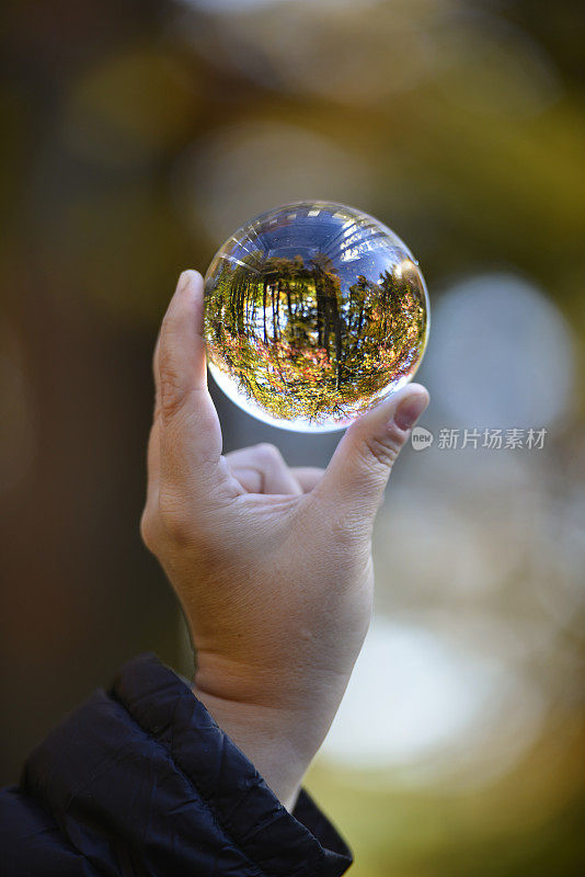 水晶球，美丽的加拿大秋天森林背景