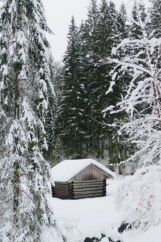 在欧洲阿尔卑斯山脉，冰雪覆盖的冬季景观和森林