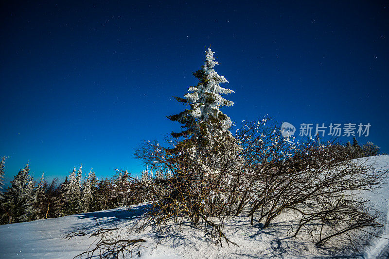 雪山里的夜星