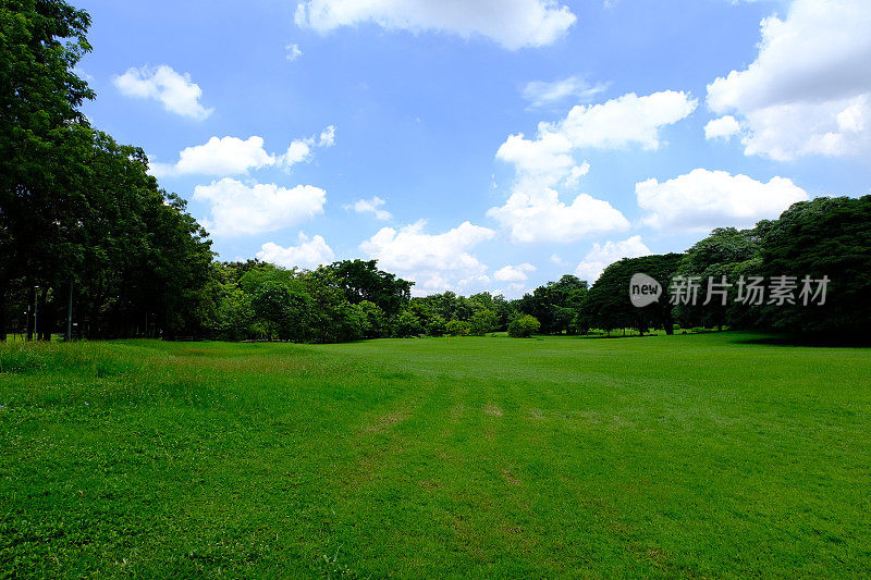 田野的绿色草坪和树木与Cloudscape