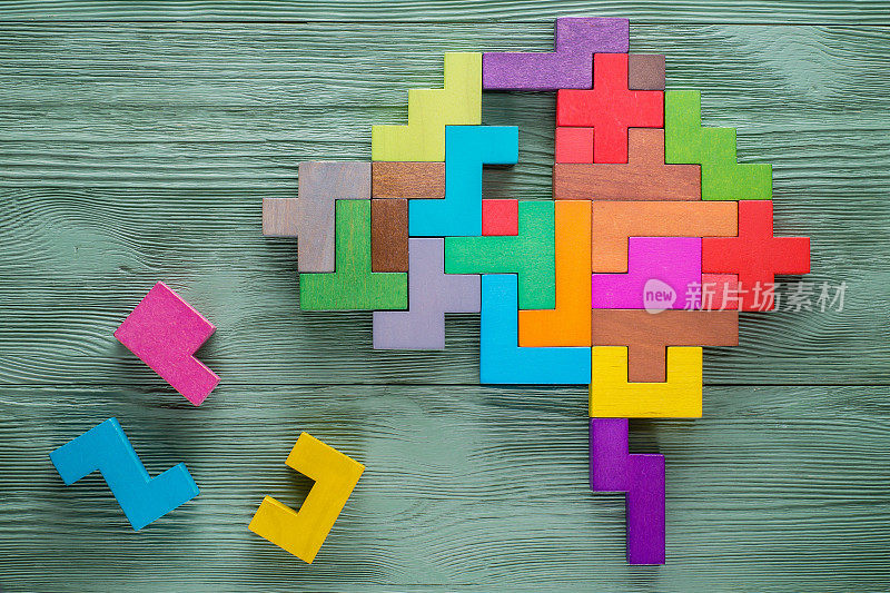 人的大脑是由多种颜色的木块组成的。