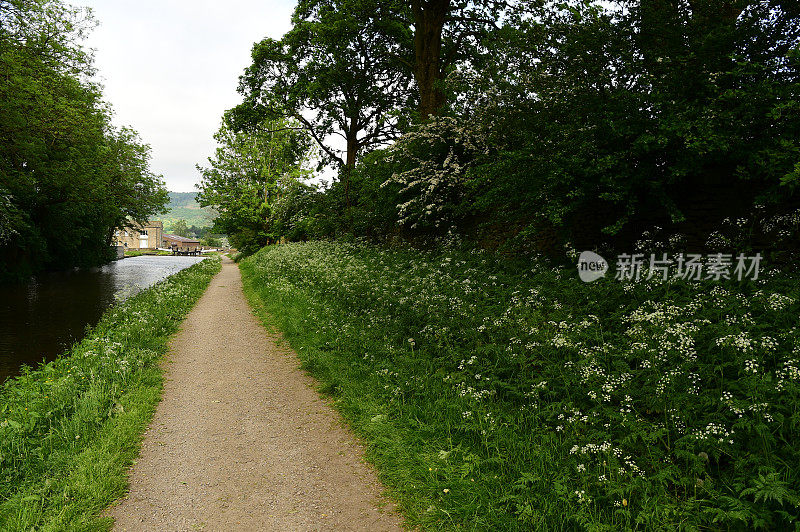 英国的风景