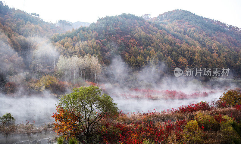 韩国永丹湖附近的秘密花园2