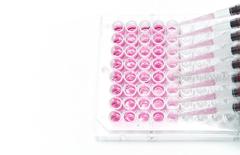多通道移液管和96孔透明平板用于细胞检测