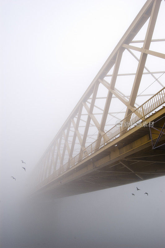 桥消失在冬雾中