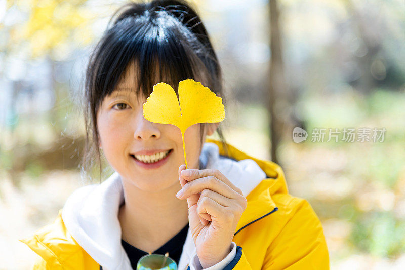 用黄色银杏叶遮住眼睛的女人