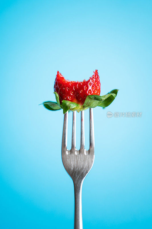 银叉上的成熟草莓配以蓝色背景