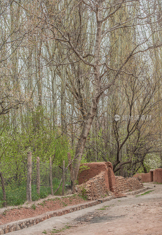 风景如画的春天花园周围的山村Abyaneh在伊朗