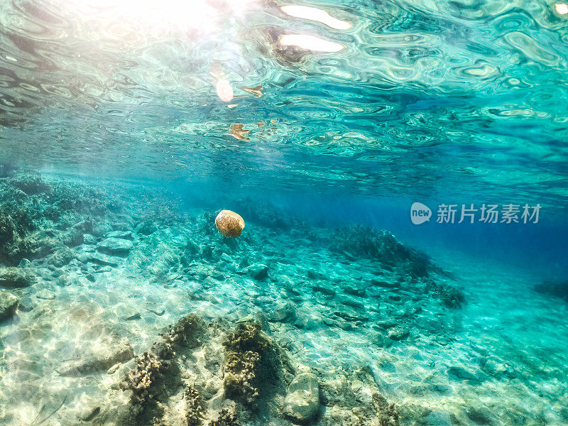 水下海洋风景