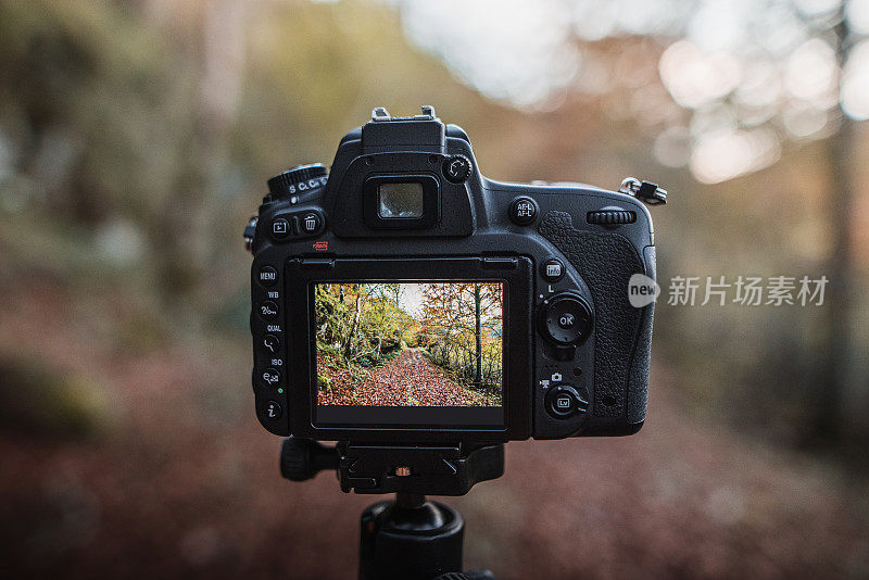 单反相机捕捉秋天的森林